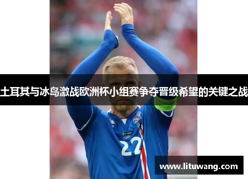 土耳其与冰岛激战欧洲杯小组赛争夺晋级希望的关键之战