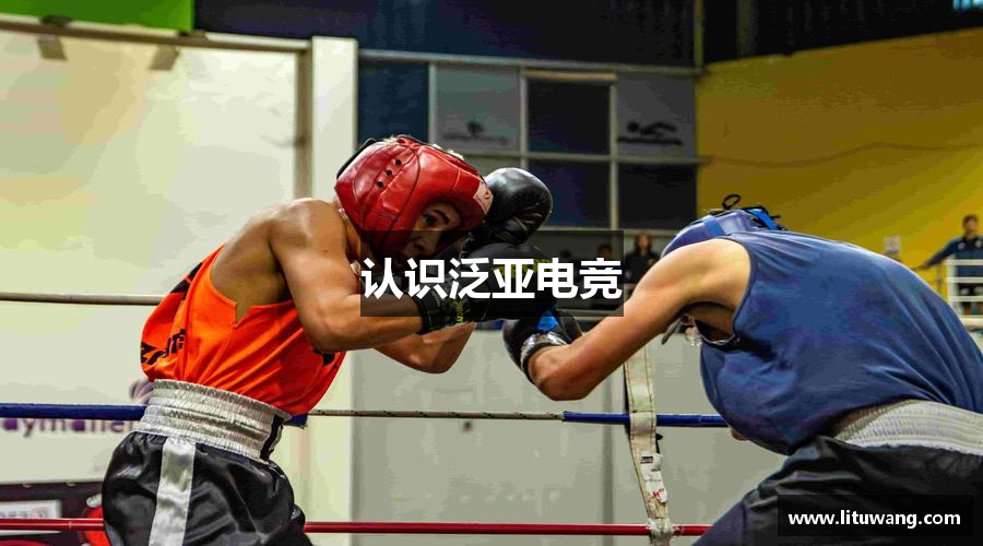 认识泛亚电竞
